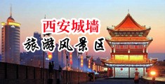 淫色网站女生的逼中国陕西-西安城墙旅游风景区